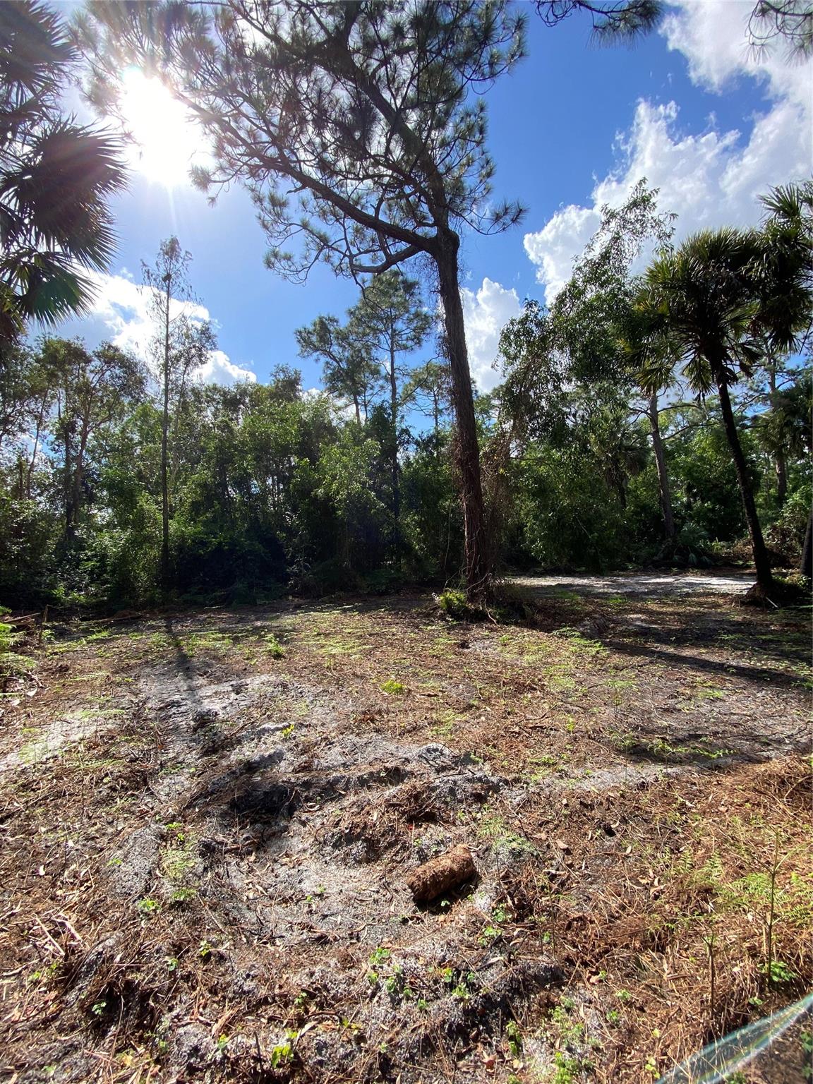 Acreage - Land