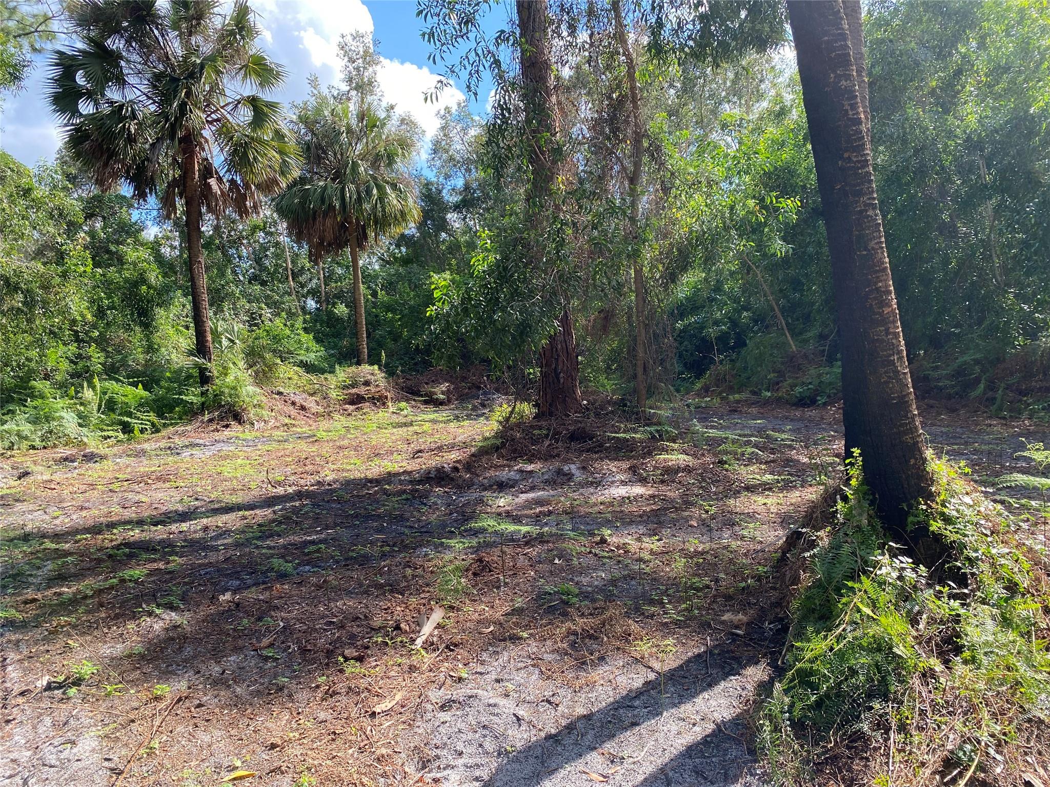 Acreage - Land