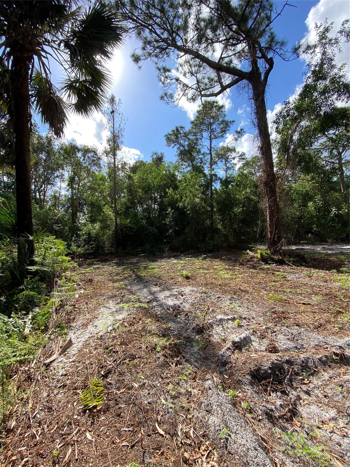 Acreage - Land