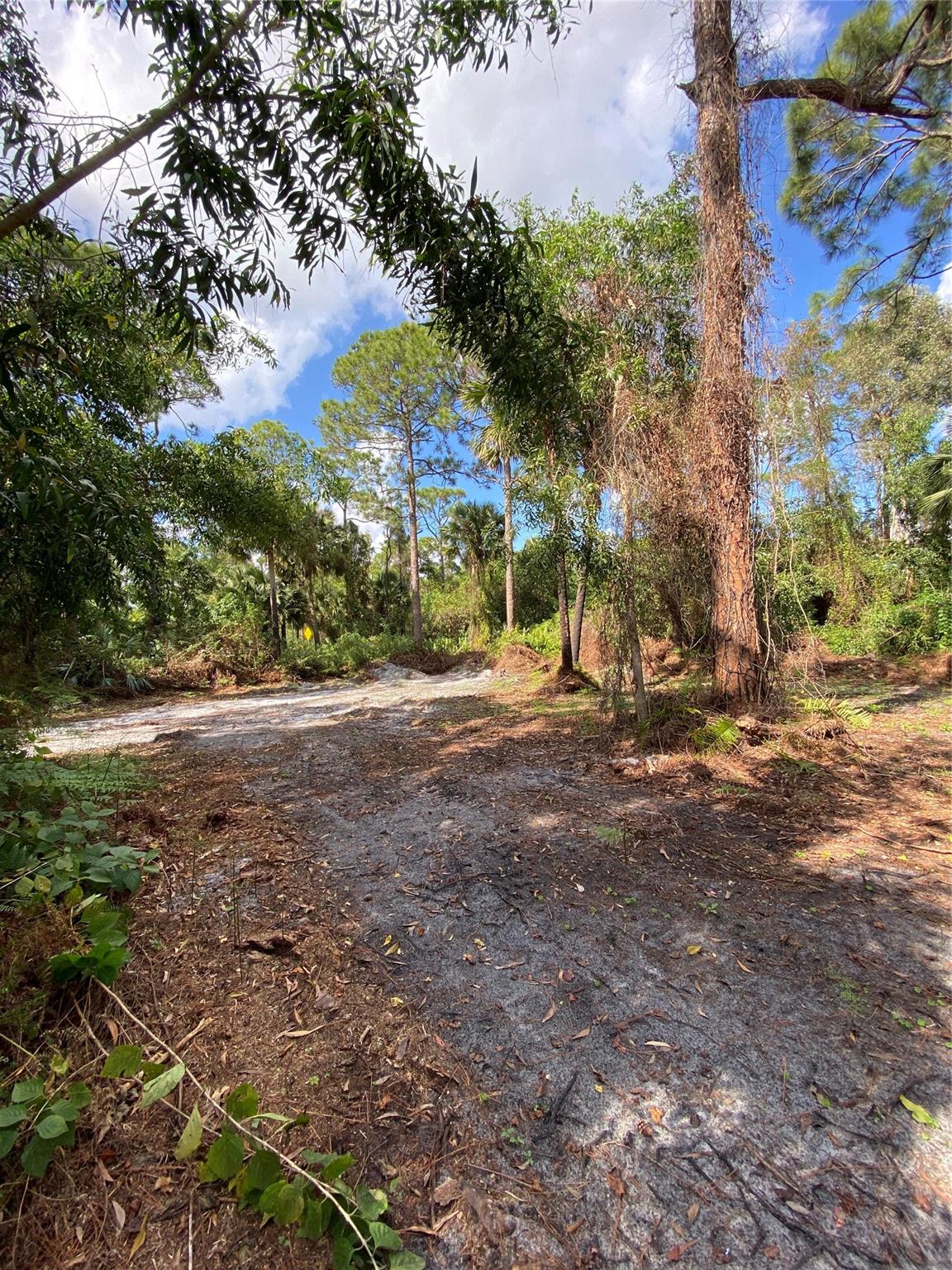 Acreage - Land