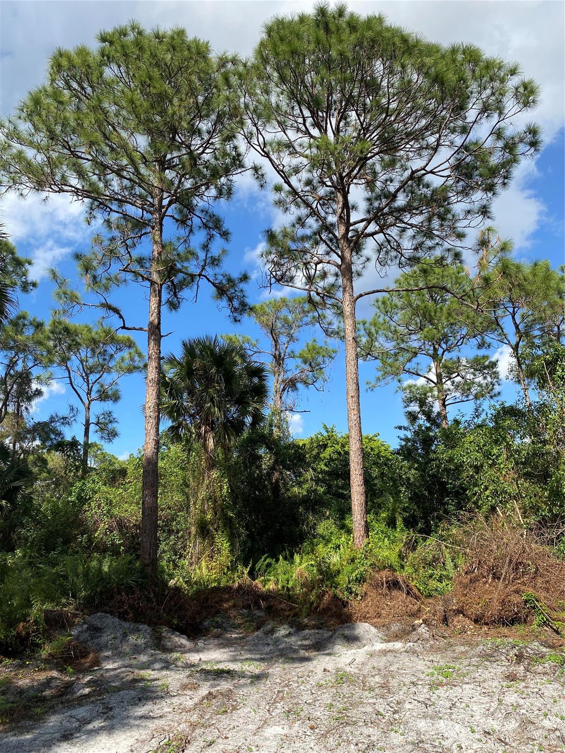 Acreage - Land