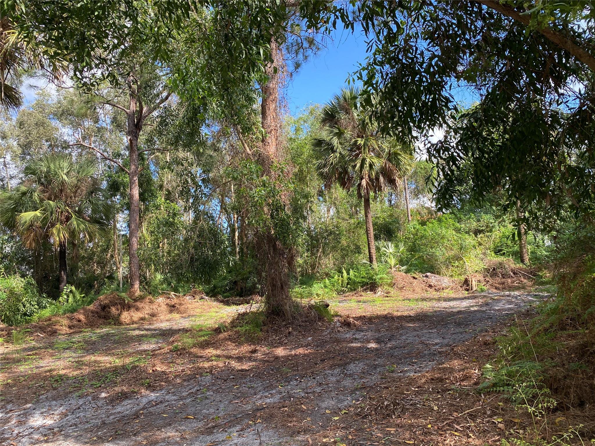 Acreage - Land