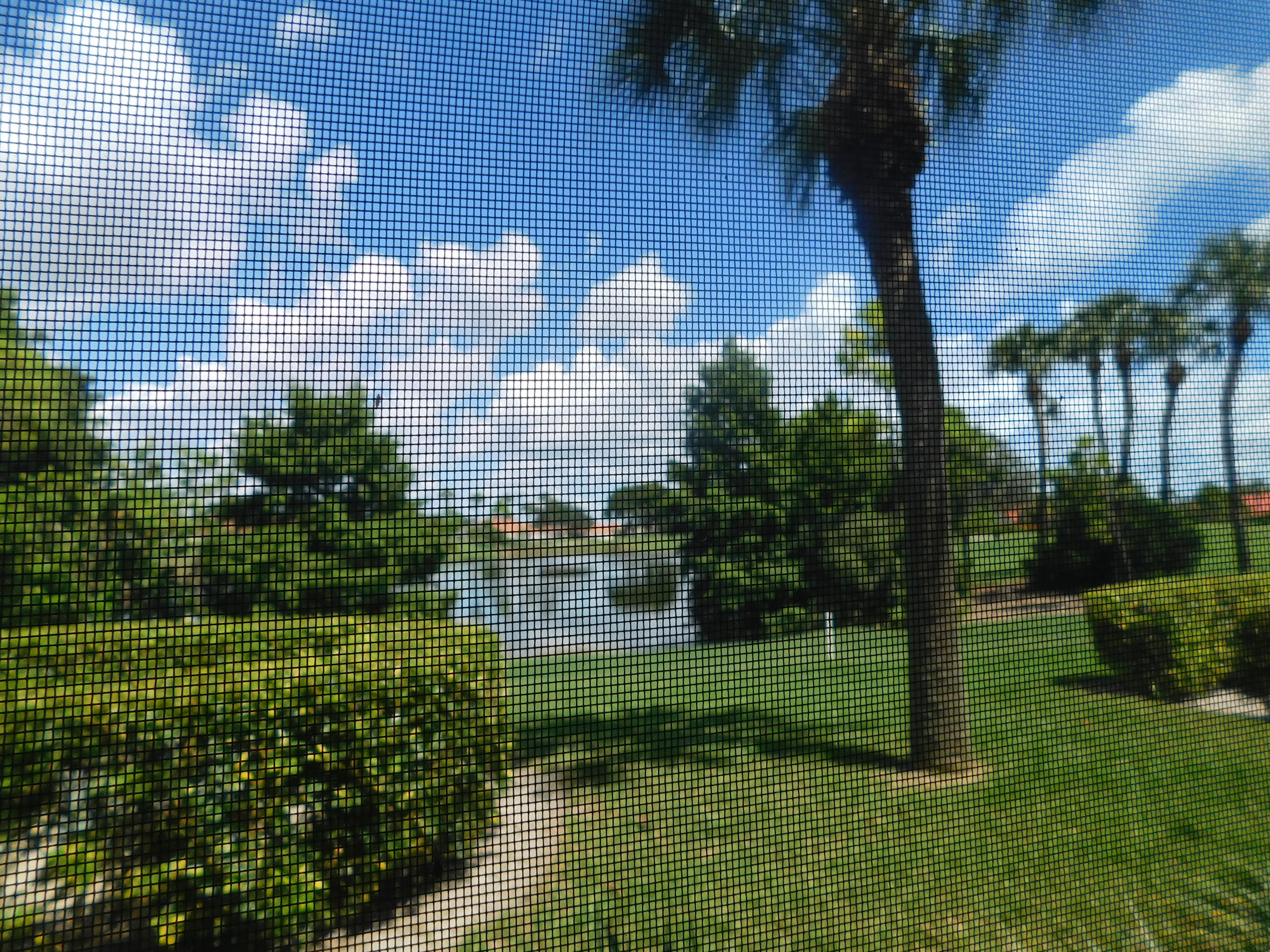 GLENEAGLES CONDO III - Residential Lease