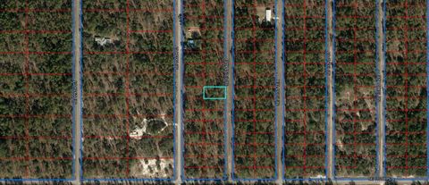 00 SE 131st Avenue Dunnellon FL 34431