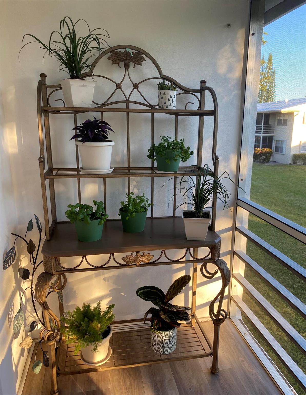 CENTURY VILLAGE - Residential