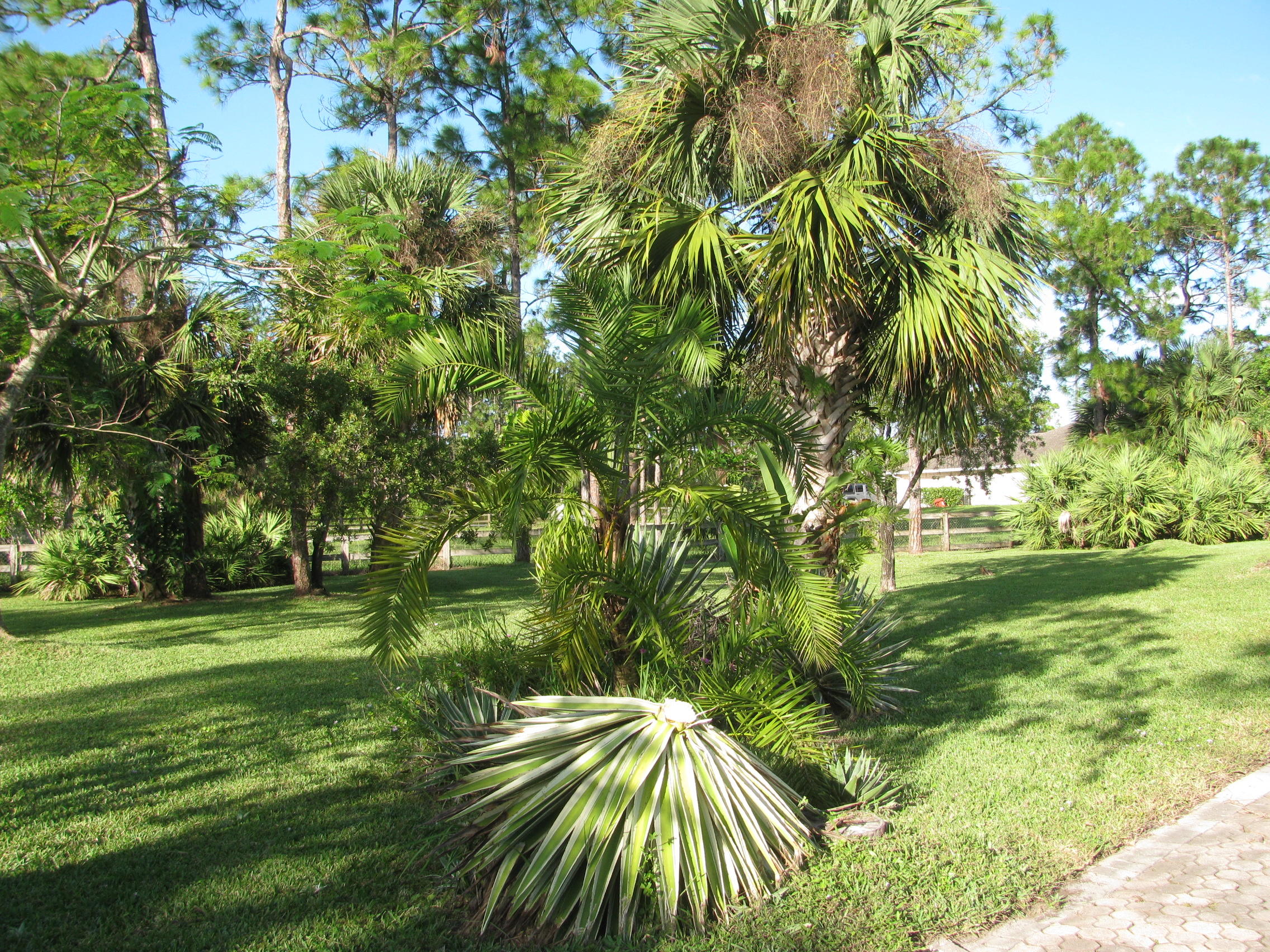 Acreage - Residential