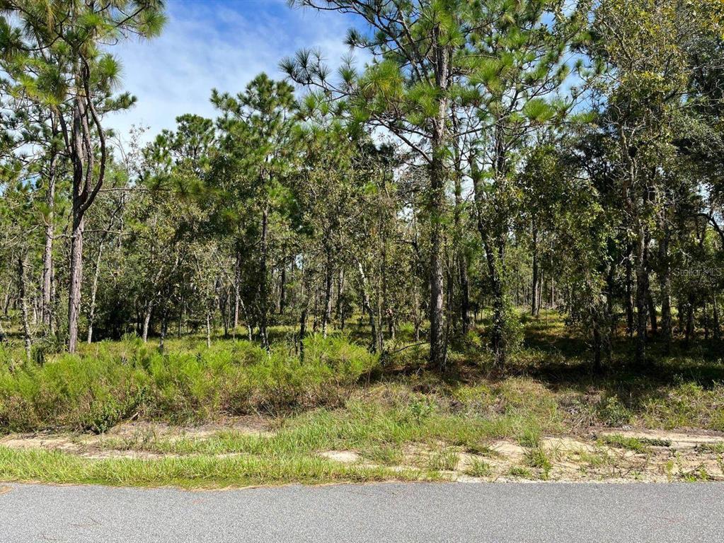 VERY NICE WOODED LOT TO BUILD YOUR DREAM HOME ON 1 Acre IN THE BEAUTIFUL COMMUNITY OF RAINBOW ACRES. IN AN AREA OF NEW HOMES. WITH A HOME ALEADY NEXTDOOR FOR EASY ACCESS TO POWER, BUT STILL VERY PRIVATE CONVENIENT TO DOWNTOWN DUNNELLON WHERE YOU WILL FIND RESTAURANTS, SHOPPING AND ANTIQUE SHOPS, OCALA, GAINESVILLE, CRYSTAL RIVER, GULF OF MEXICO AND THE BEAUTIFUL. Rainbow Springs State Park is just a short drive away where you can enjoy nature walks among the mature azaleas, bird watching, kayaking and swimming at the head of this pristine first magnitude spring. Whether you're looking to build your dream home or purchase as a future investment this property checks all the boxes. Neighbors address 11651 se 133d ave Dunnellon FL 34431