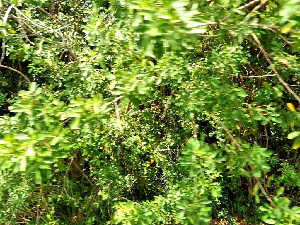 Photo of 3512 Sloan Road, Fort Pierce, FL 34947 (MLS # R10706345)