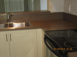 PALM LAKE CONDO - Residential Lease