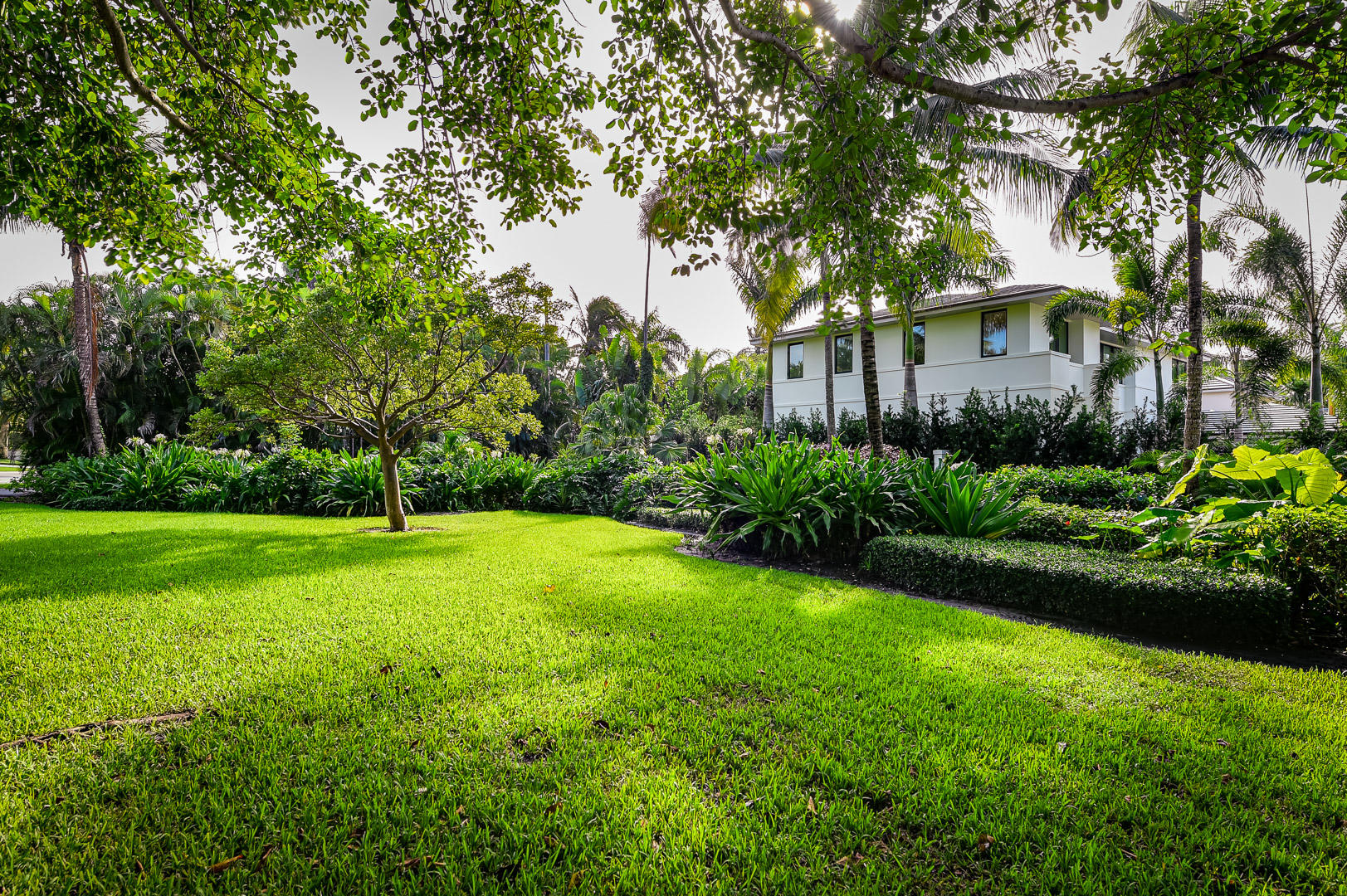 DRAKE PARK - Residential