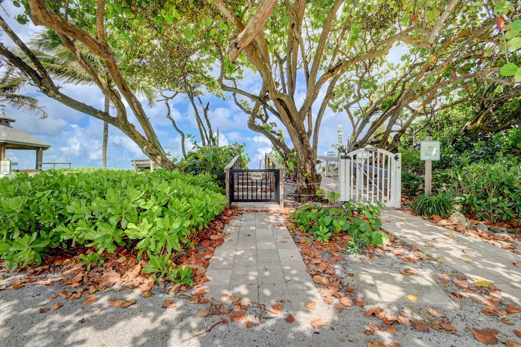 TROPICAL PARK - Residential Lease