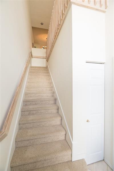 steeplechase - Residential