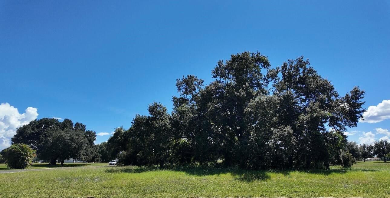 SPRING LAKE VILL 03 - Land