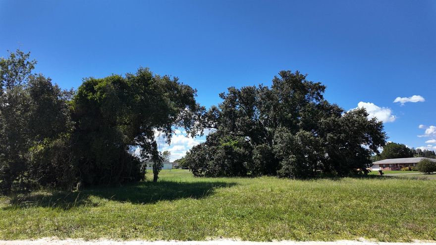 Build your dream home on this spacious 0.67-acre vacant residential lot in beautiful Sebring, Florida. Enjoy the peaceful charm of this Central Florida community, known for its lakes, natural beauty, and relaxed lifestyle. With plenty of room for a custom home, outdoor living, and privacy, this property offers a great opportunity in a desirable area--conveniently located near shopping, dining, and recreation. Don't miss your chance to own a generous slice of Sebring living.