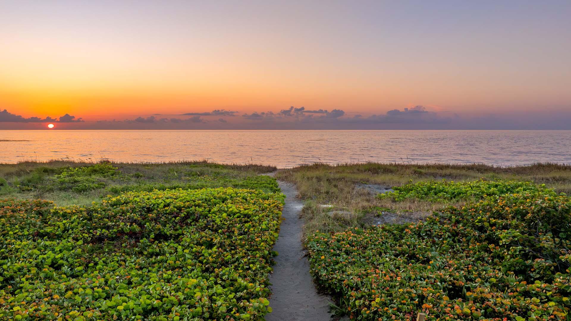Delray Beach Oceanfront - Residential