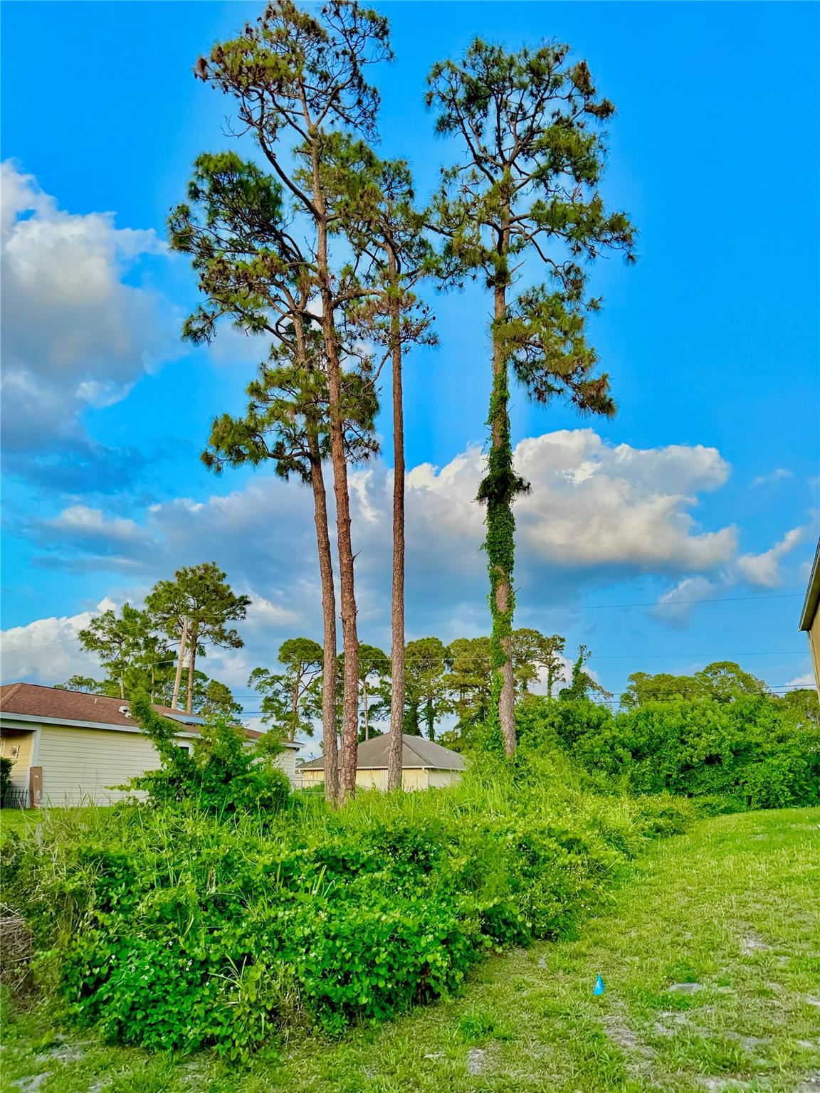 Buildable vacant residential lot near Oslo Road. Just a short drive to Vero Beach's local beaches and parks, botanical gardens, and historic sites and museums. Conveniently located near a Publix shopping plaza, local dining, games and entertainment. Invest now! All information to be verified by buyer and buyers agent.