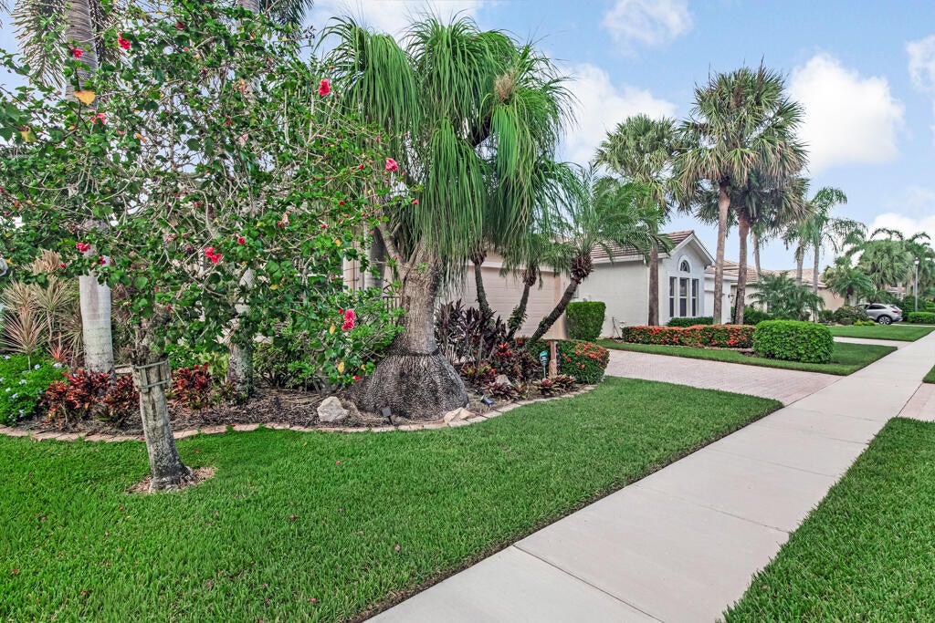8225 La Jolla Vista Lane