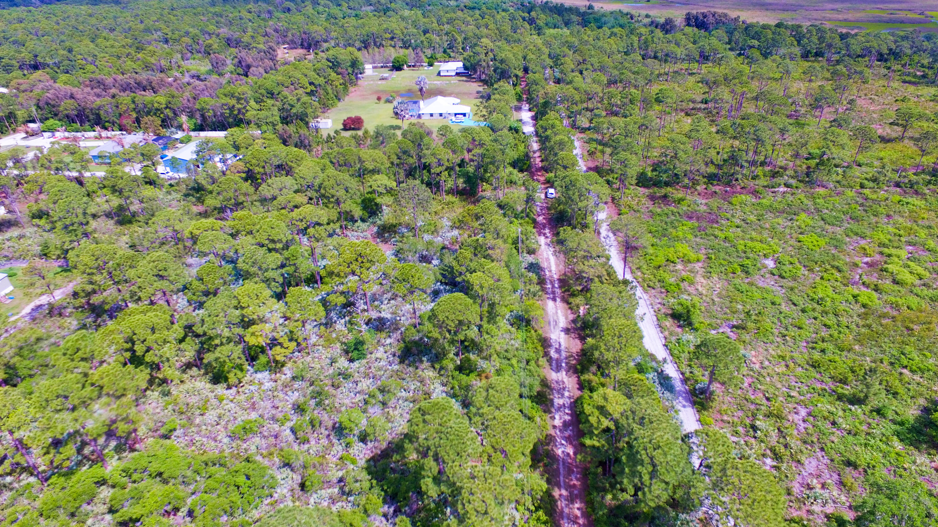 00 Bald Cypress Trail