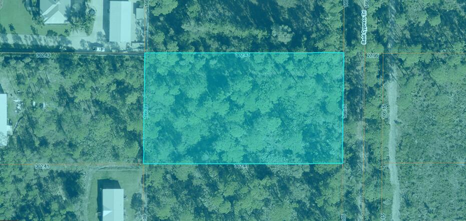 00 Bald Cypress Trail