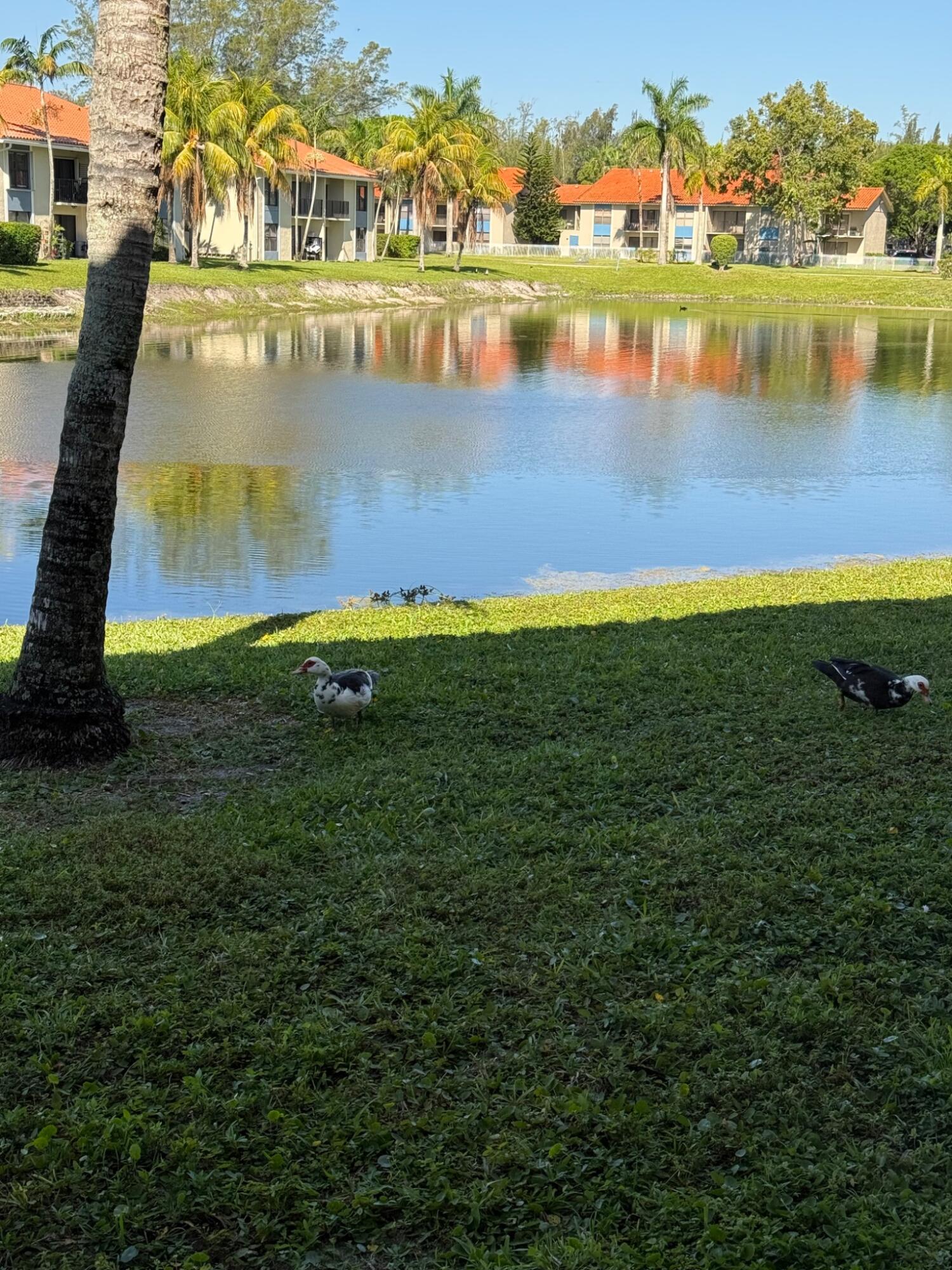 PALM BEACH GRANDE CONDO - Residential