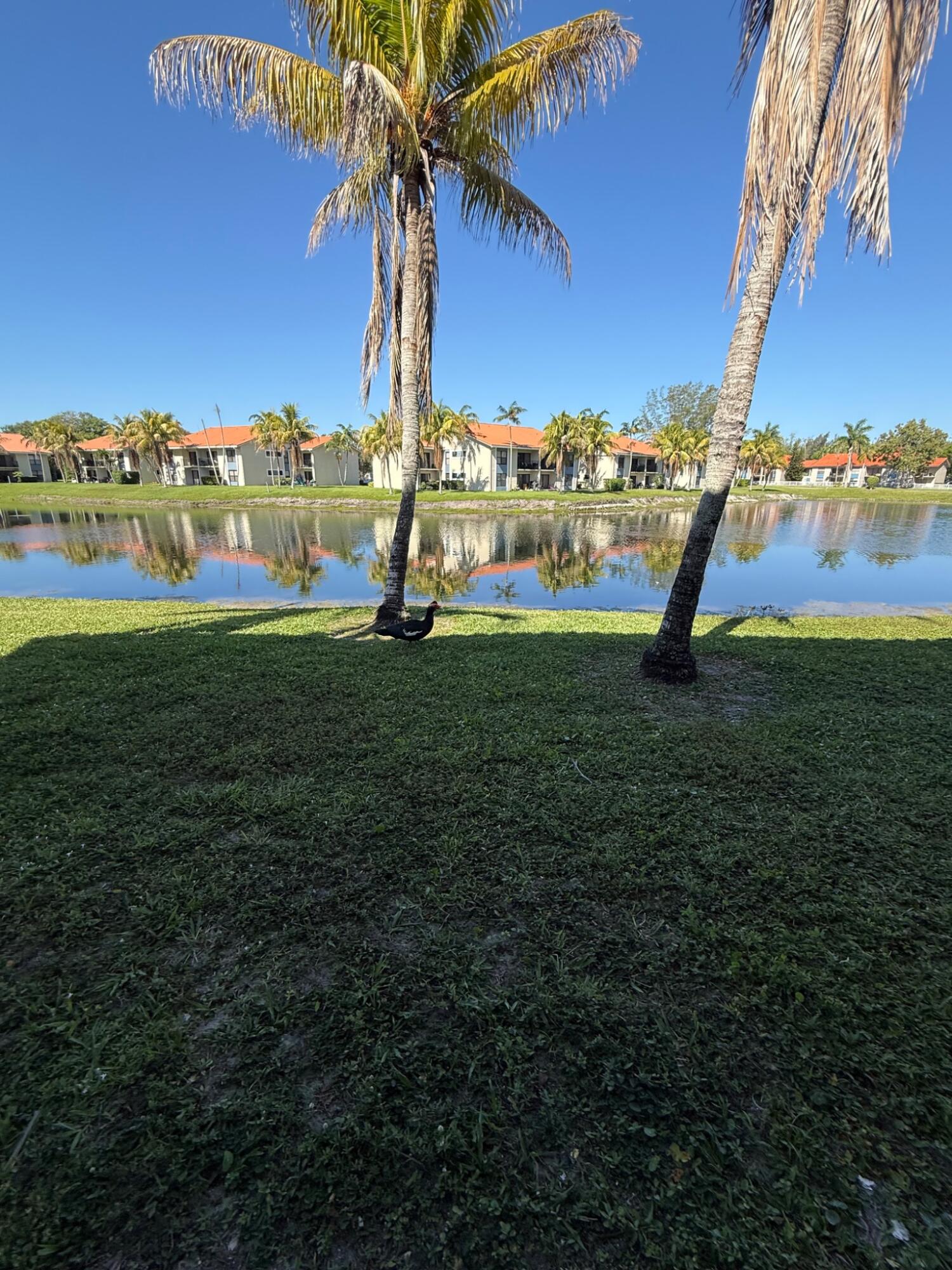 PALM BEACH GRANDE CONDO - Residential