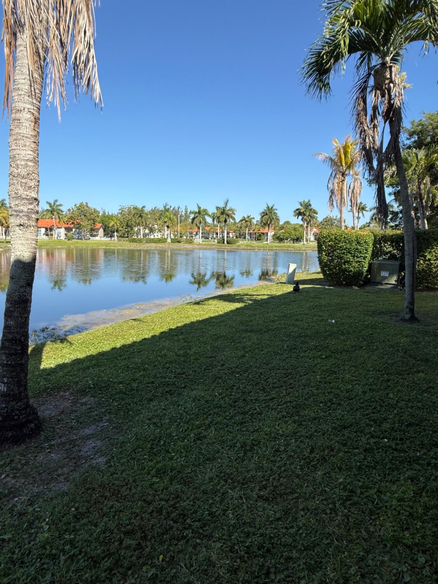 PALM BEACH GRANDE CONDO - Residential