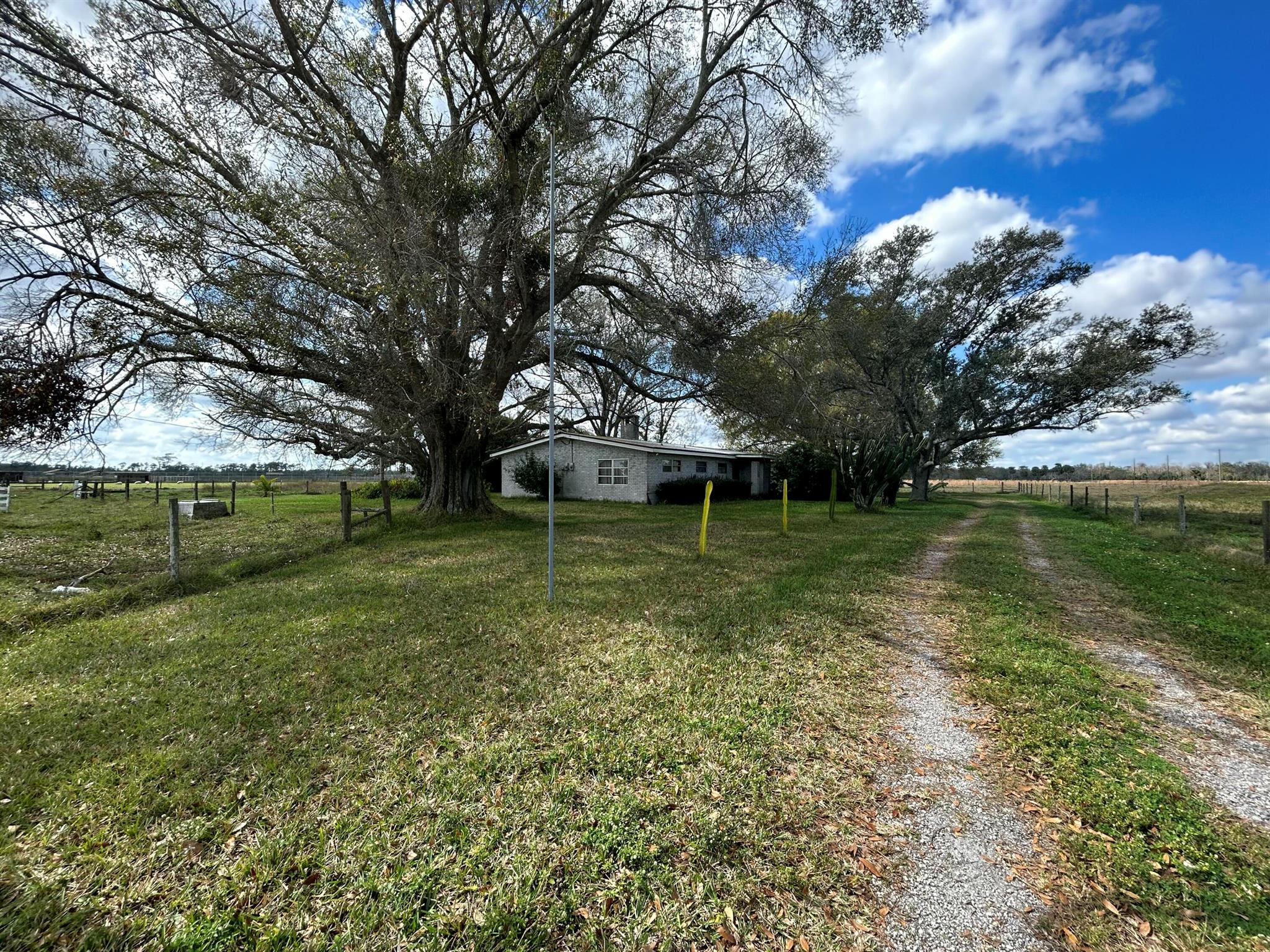 This spacious 3-bedroom, 2-bath home provides ample space for your family and pets. Relax in the cozy family room featuring a functional fireplace, which also connects to the primary bedroom. The open kitchen is ideal for hosting gatherings. 11.19 acres of land for outdoor activities and plenty of room for the horses, goats or cattle to roam. You can have your own farm! The possibilities are limitless.
