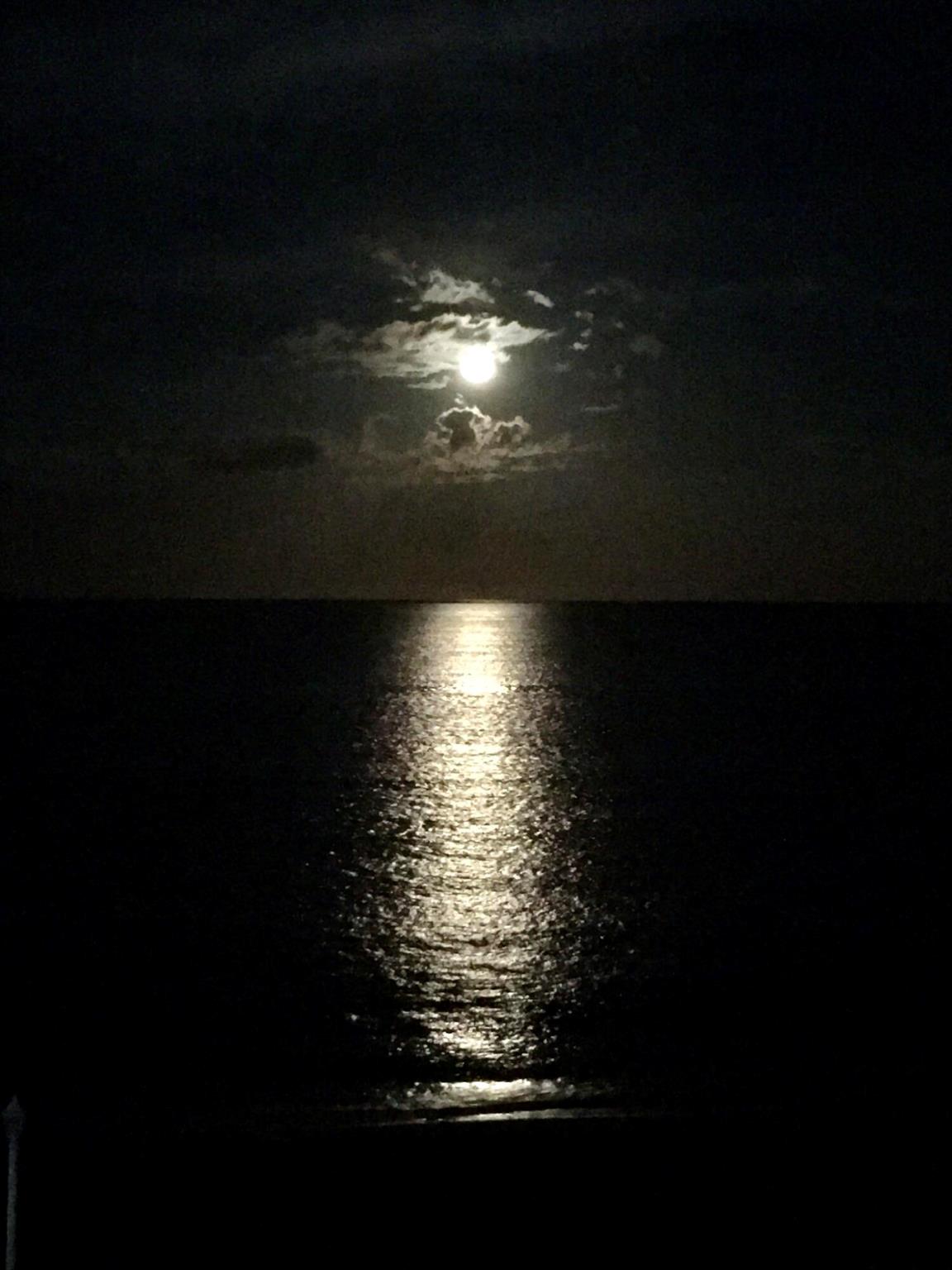 CLARIDGES I CONDO - Residential