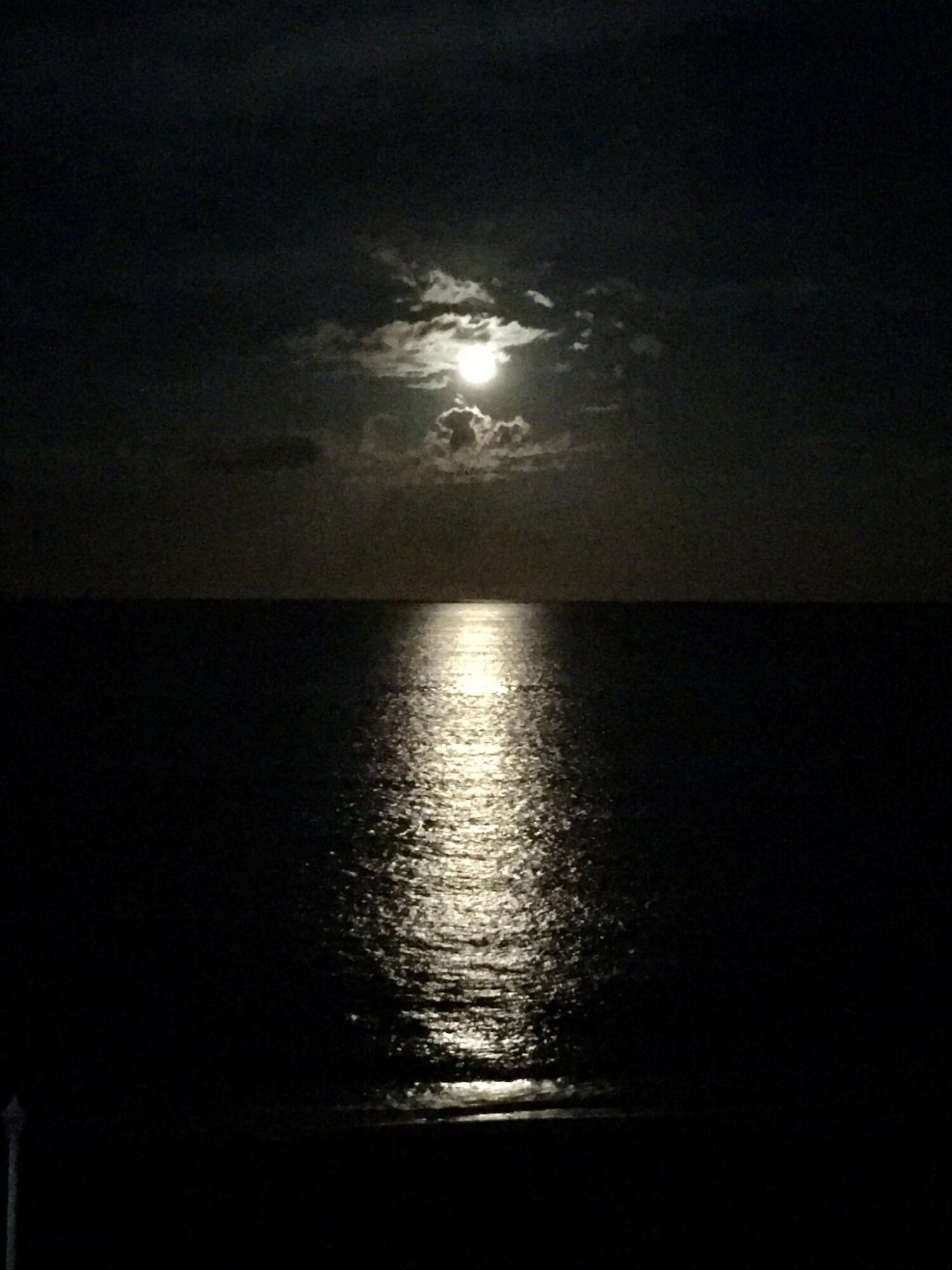 CLARIDGES I CONDO - Residential