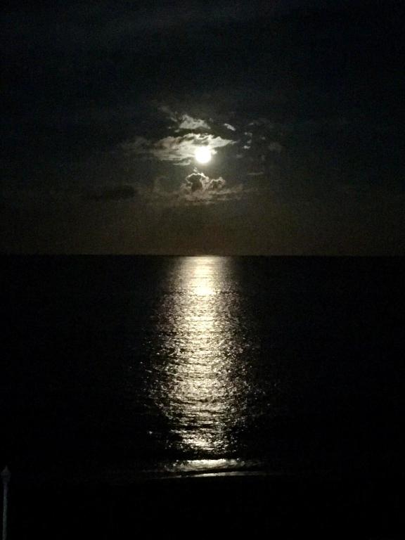 CLARIDGES I CONDO - Residential