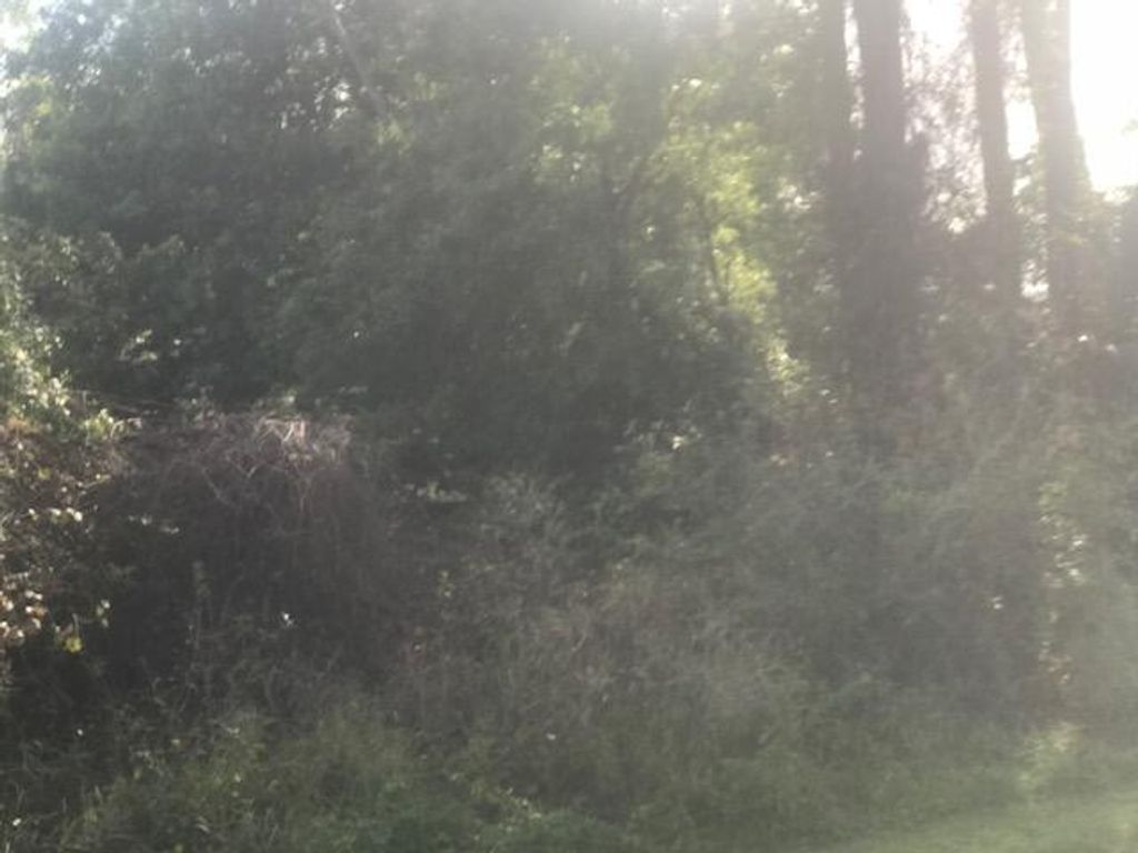 Photo of 1144 SW Estaugh Street, Port Saint Lucie, FL 34953 (MLS # R10780656)