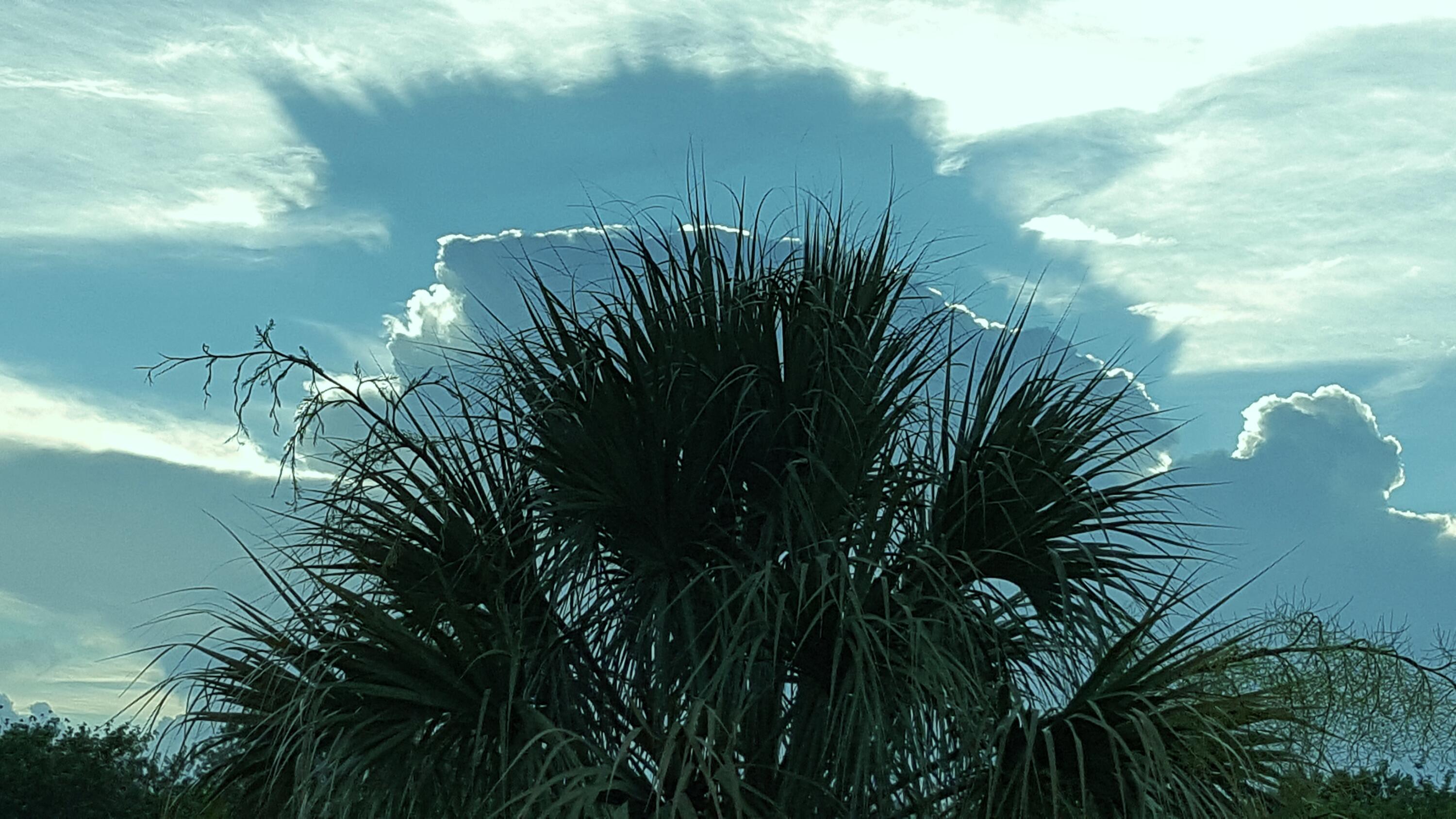 DIXIE HEIGHTS UNIT NO 3 - Residential Lease