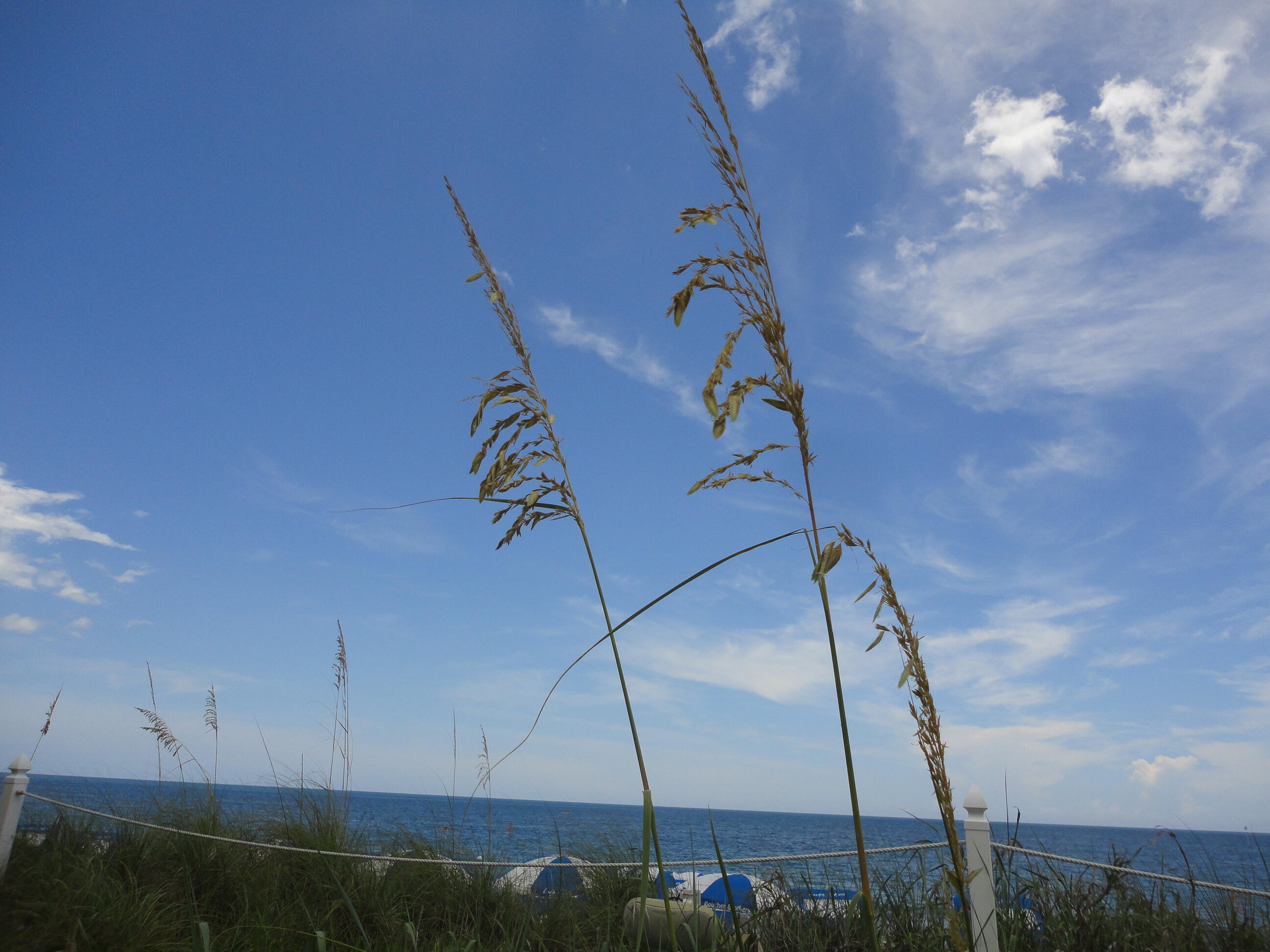 DIXIE HEIGHTS UNIT NO 3 - Residential Lease