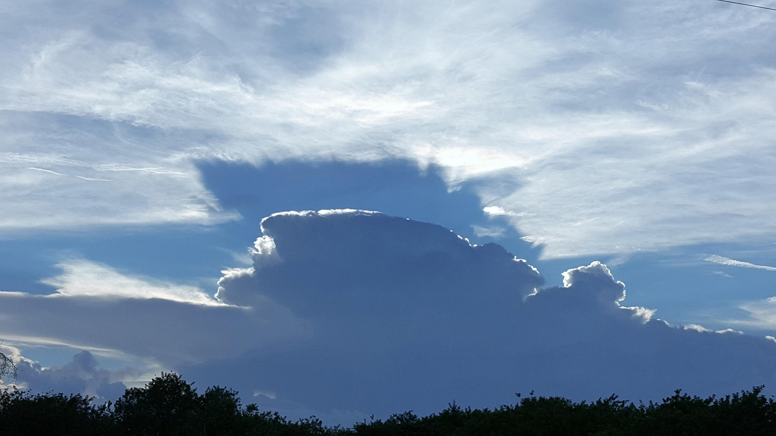 DIXIE HEIGHTS UNIT NO 3 - Residential Lease