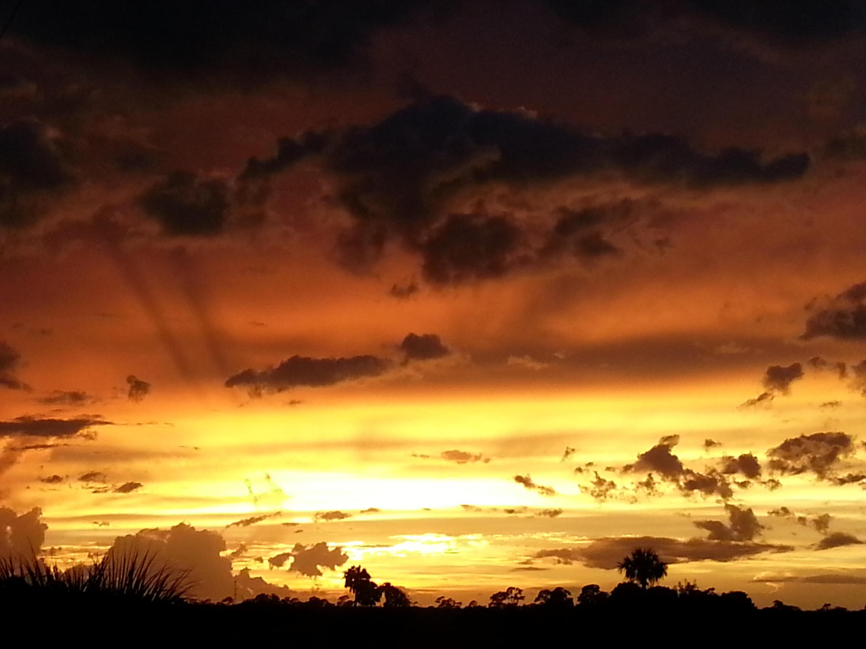 DIXIE HEIGHTS UNIT NO 3 - Residential Lease