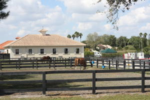 Palm Beach Point - Residential