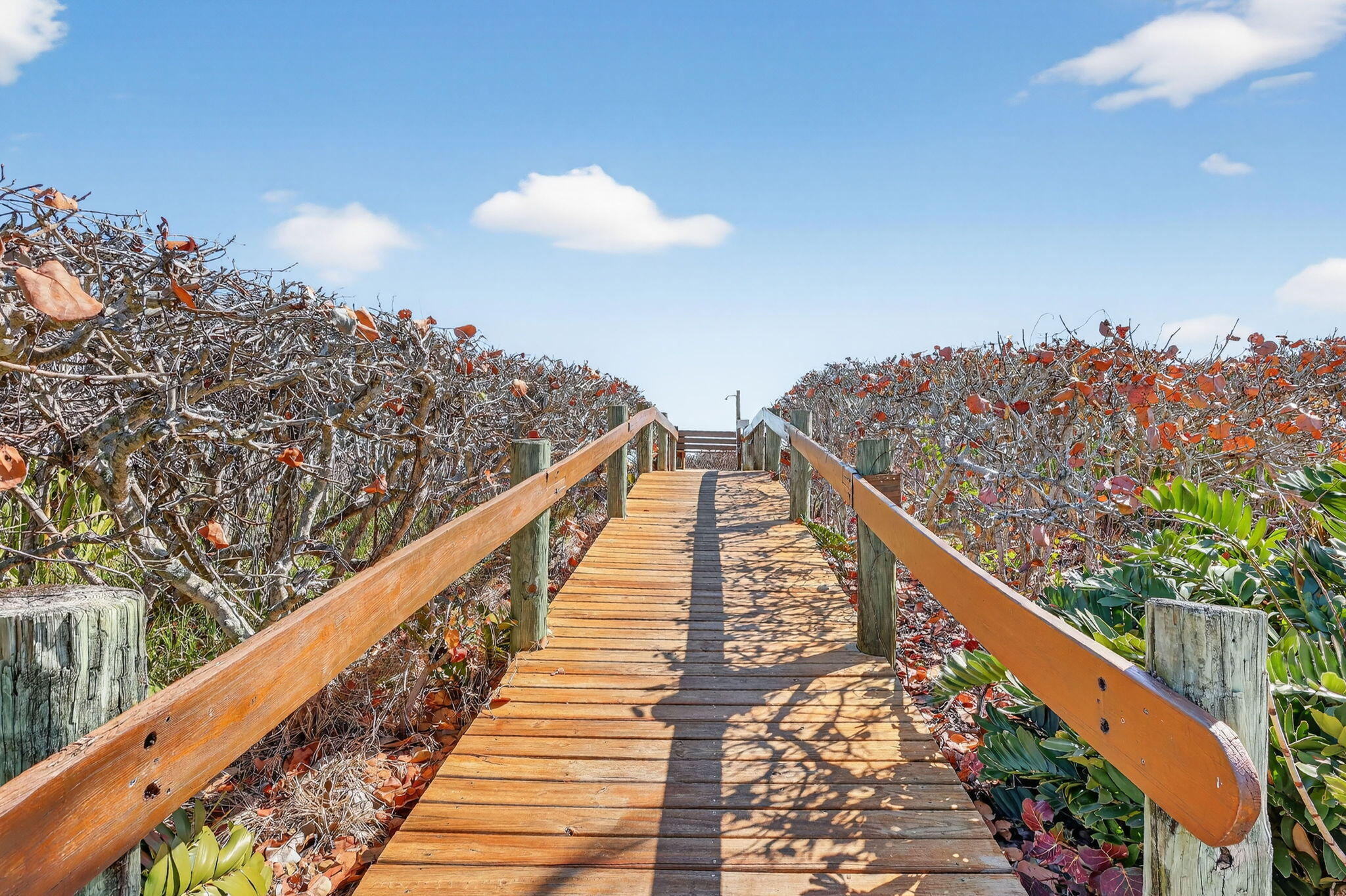 OCEAN HARBOUR CONDOMINIUM B - Residential