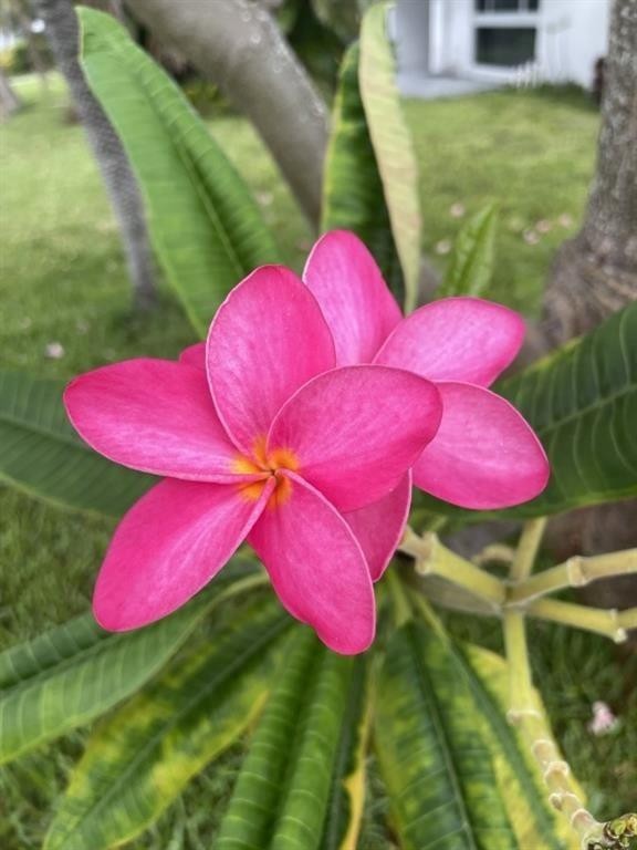 Connor Estates 29-38 B - Residential Lease