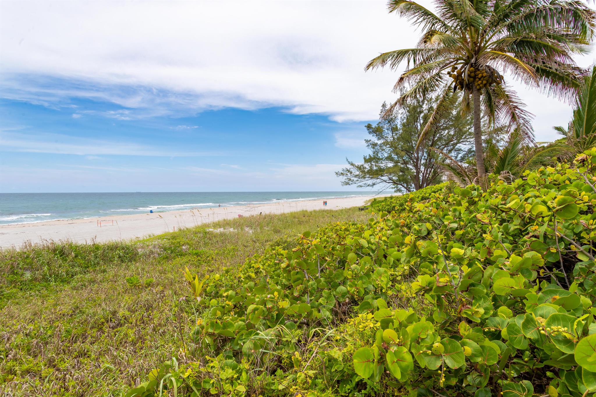 OCEANSIDE TOWNHOMES - Residential