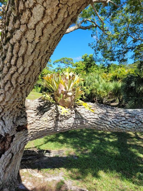 A home in Stuart