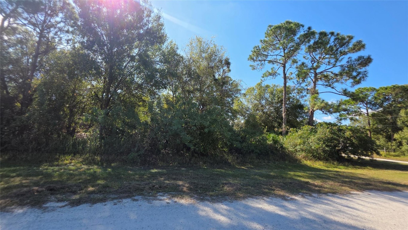 THE WOODLAND S/D - Land