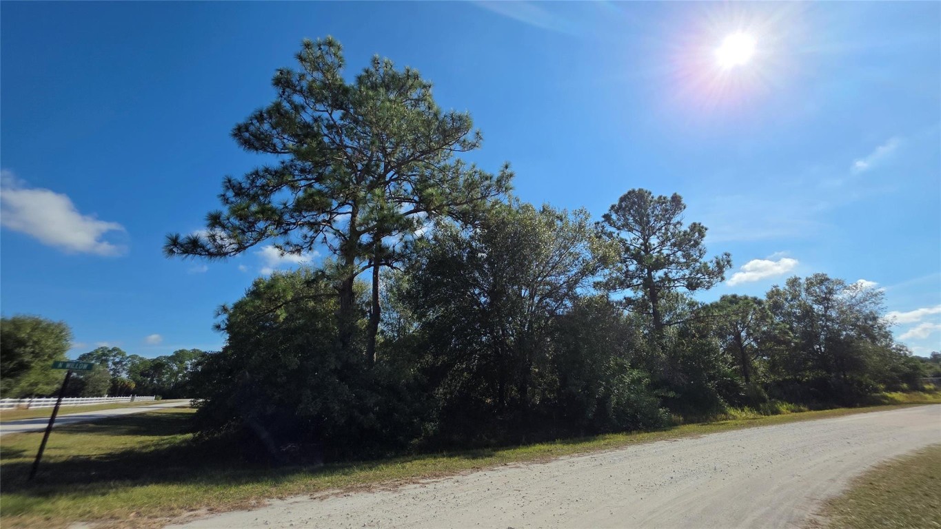 THE WOODLAND S/D - Land