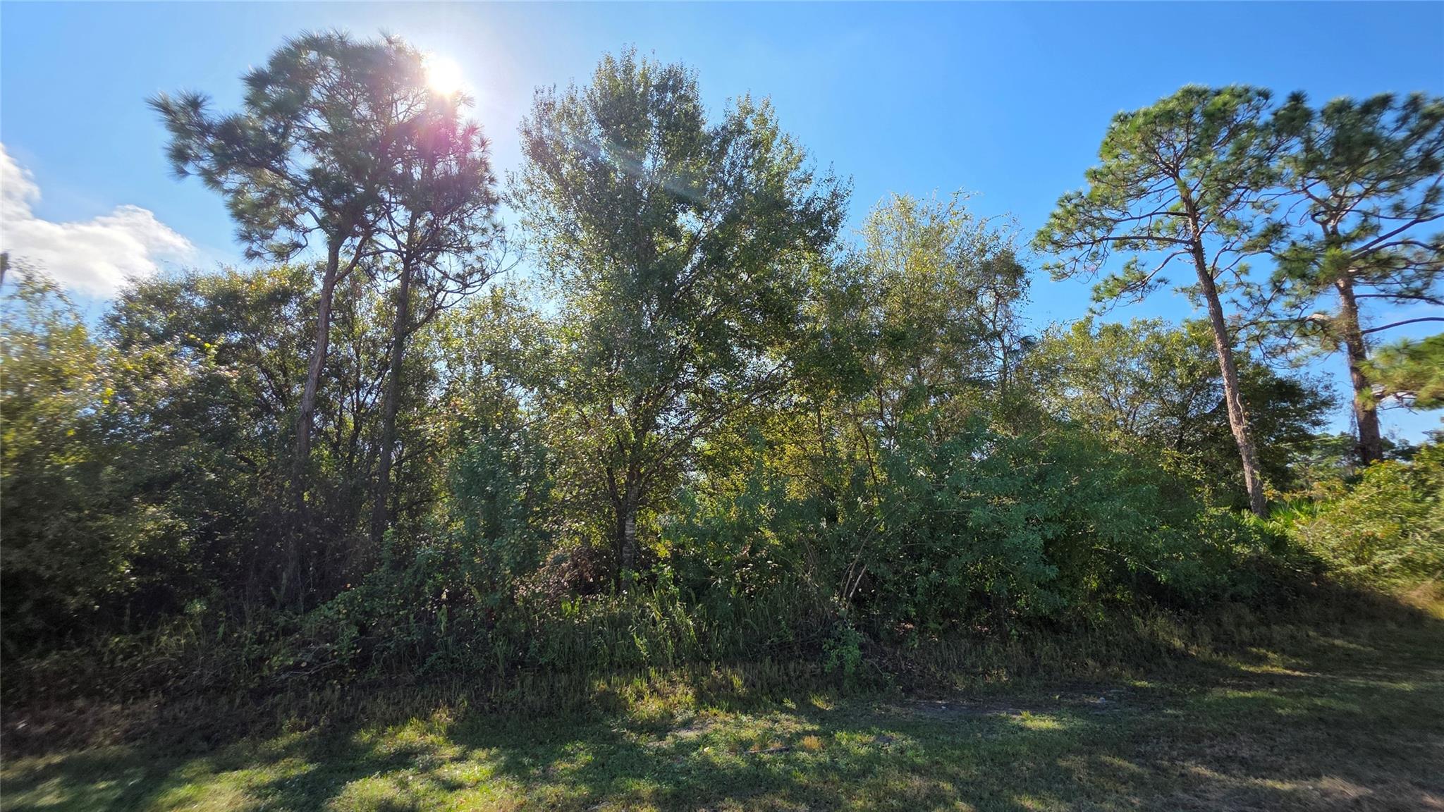 THE WOODLAND S/D - Land