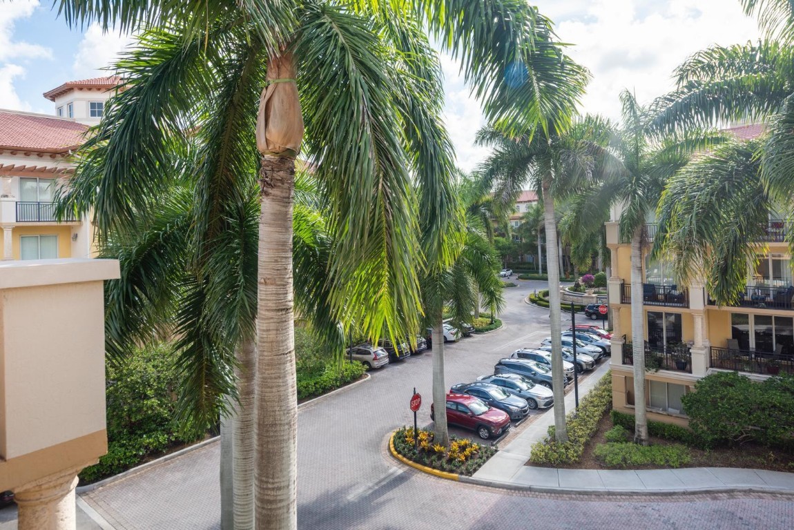 Palms at Weston - Residential