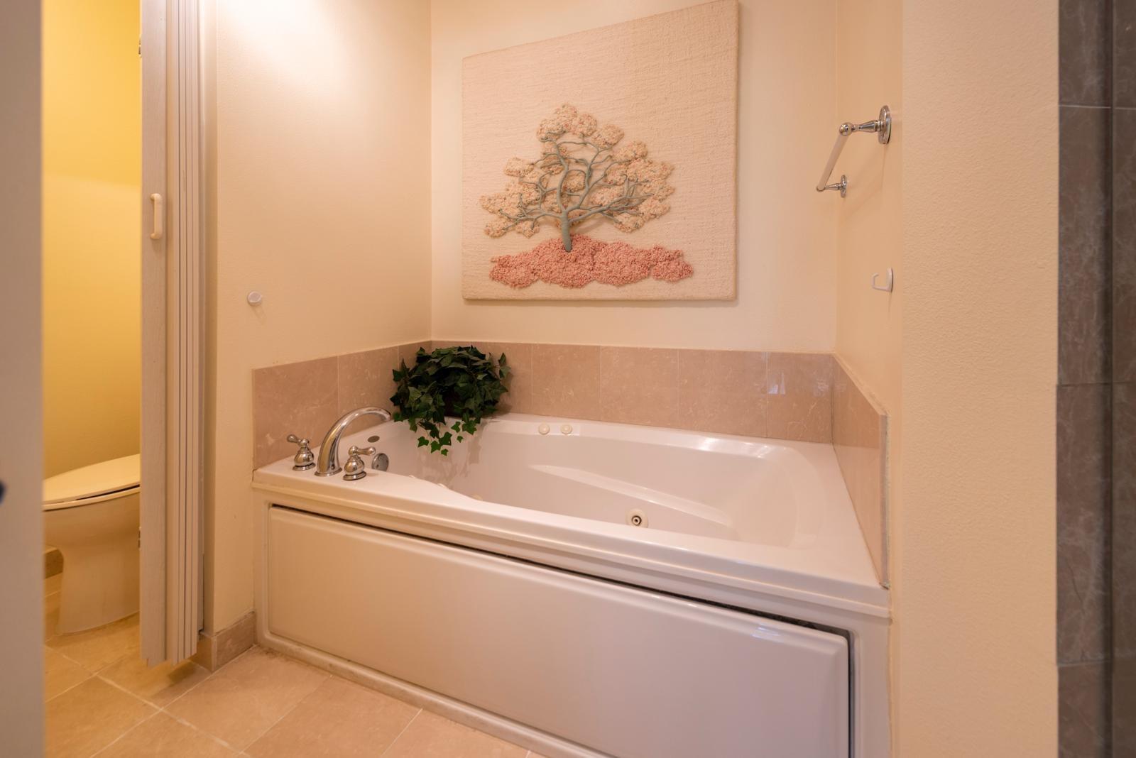 Palms at Weston - Residential