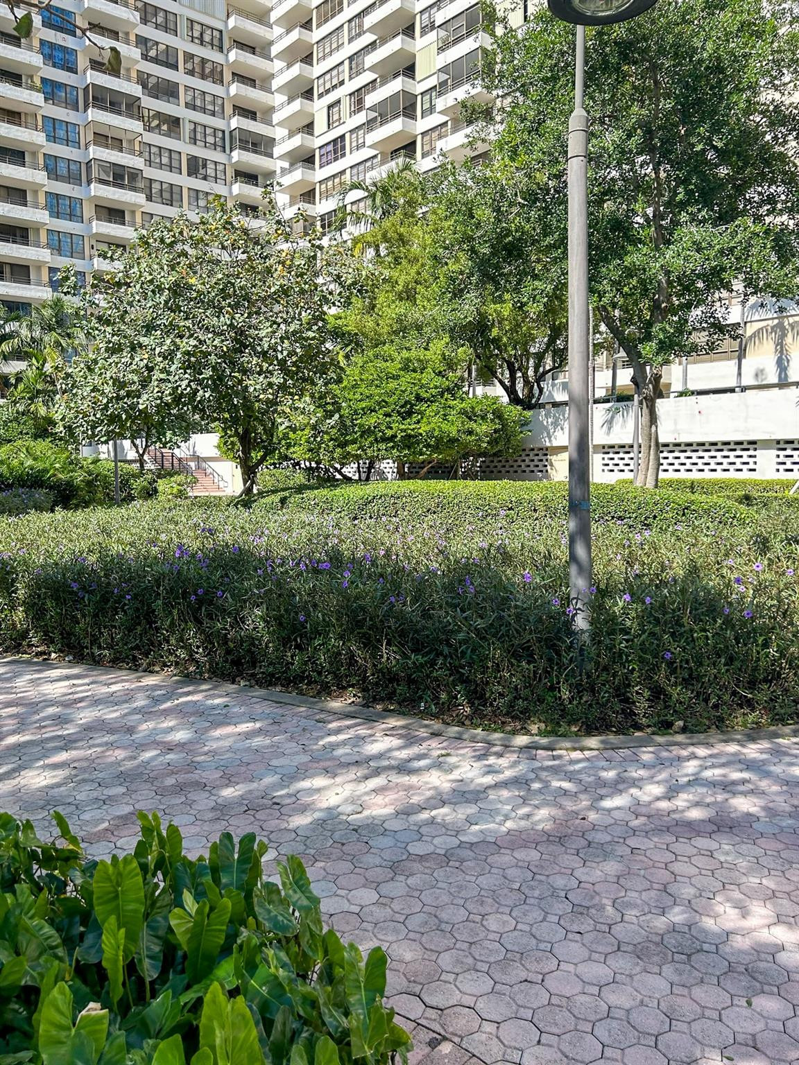 OLYMPUS CONDO - Residential