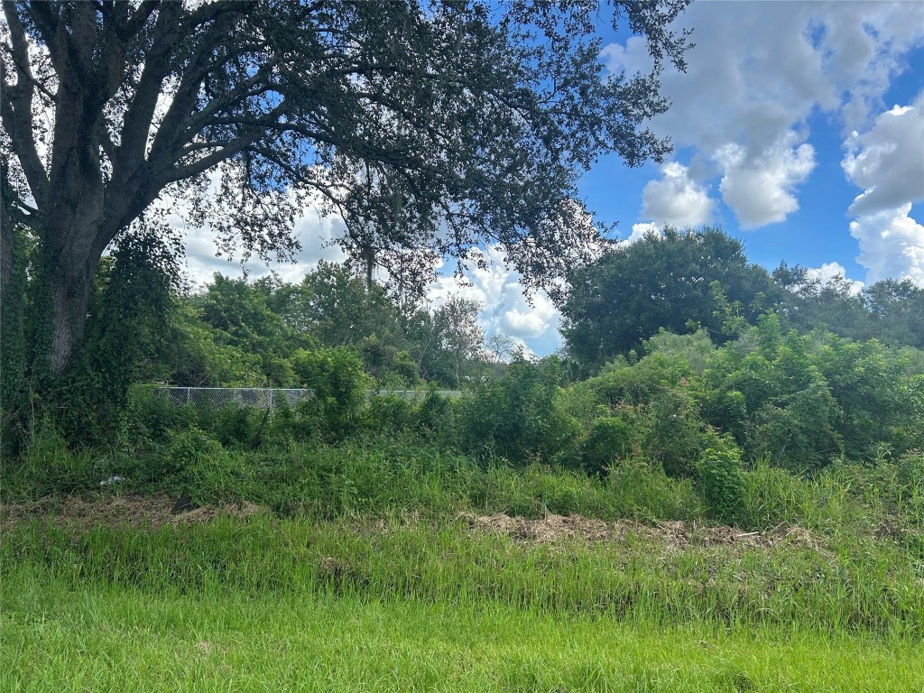 Montura Ranch - Land