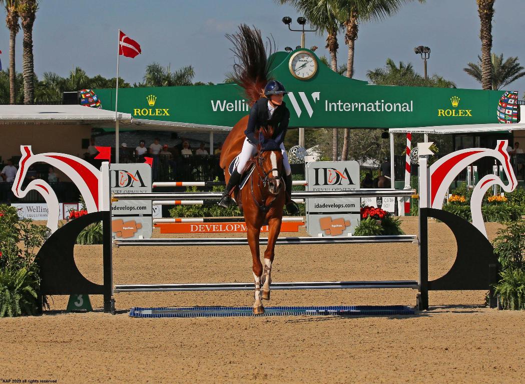 SADDLE TRAIL PARK OF WELLINGTON - Residential