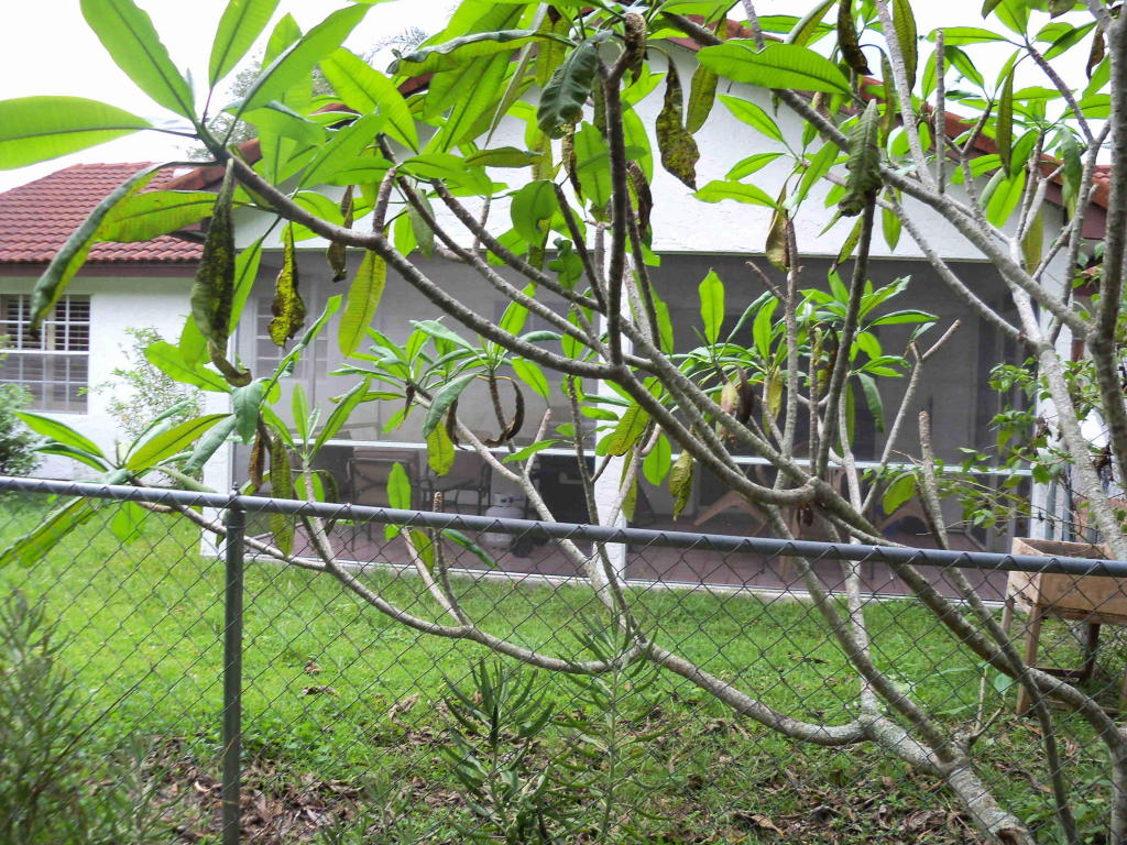 PORT ST LUCIE SECTION 41 - Residential