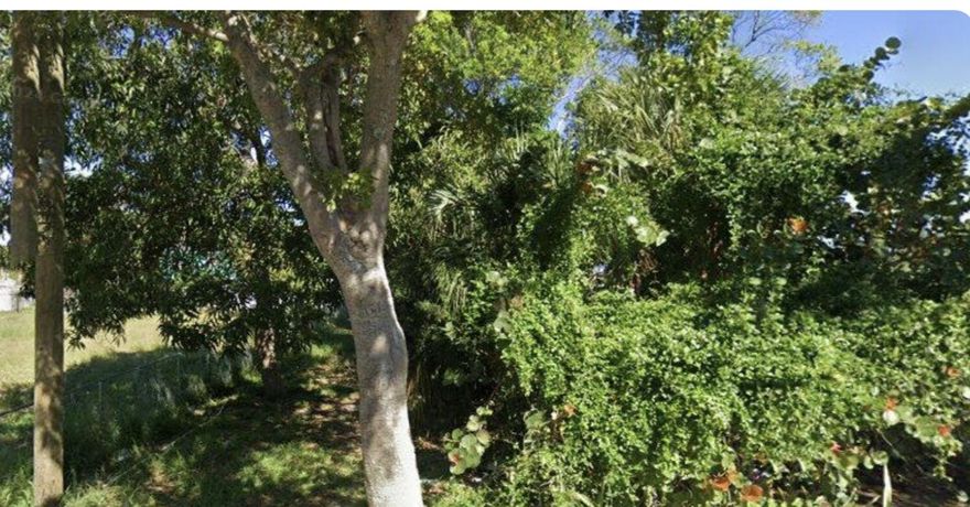 Prime Opportunity Awaits!
Discover the potential of this 20x70 vacant residential lot—ideal for creative development or long-term investment. Situated in an established neighborhood with access to utilities nearby, this lot offers unique possibilities for a savvy buyer with vision. Whether you're considering a compact new build, an urban garden space, or exploring zoning options, this blank canvas is ready for your next move. Buyer to verify permitted uses with the city. Buyer responsible for verifying all zoning, building requirements, code enforcement status, and permitted uses with the City of West Palm Beach.